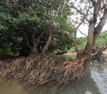 石垣島 ADVENTURE PiPi（イシガキジマアドベンチャーピピ）に投稿された画像（2024/2/26）