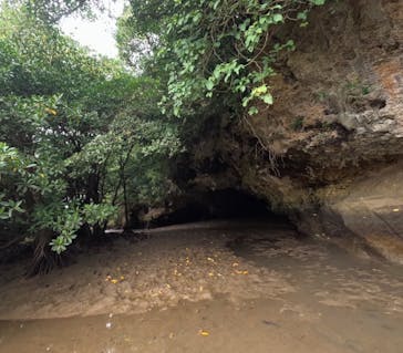 石垣島 ADVENTURE PiPi（イシガキジマアドベンチャーピピ）に投稿された画像（2024/2/26）