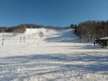 水上高原 藤原スキー場に投稿された画像（2024/2/26）