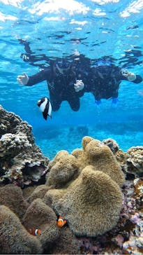 宮古島 ADVENTURE PiPi（ミヤコジマ アドベンチャー ピピ）に投稿された画像（2024/2/26）