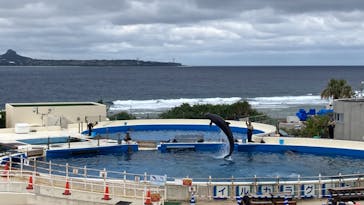 沖縄美ら海水族館に投稿された画像（2024/2/26）