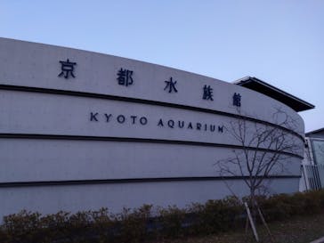 京都水族館に投稿された画像（2024/2/26）