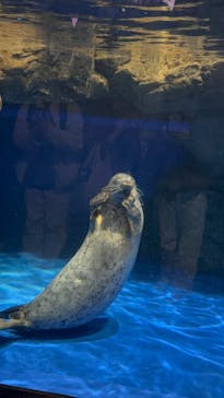 マクセル アクアパーク品川に投稿された画像（2024/2/26）