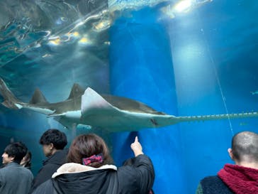 マクセル アクアパーク品川に投稿された画像（2024/2/26）