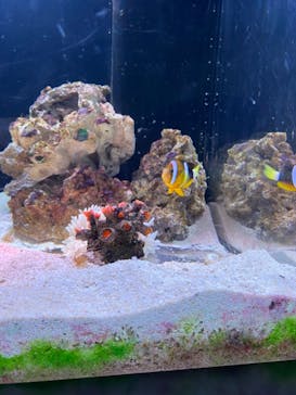 マクセル アクアパーク品川に投稿された画像（2024/2/26）