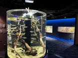 カワスイ 川崎⽔族館に投稿された画像（2024/2/27）