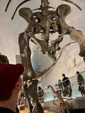 福井県立恐竜博物館に投稿された画像（2024/2/26）