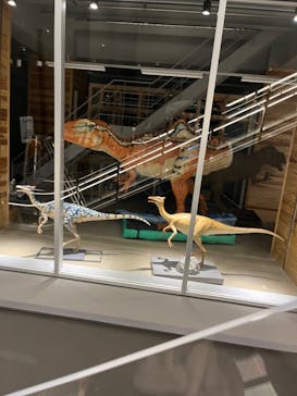 福井県立恐竜博物館に投稿された画像（2024/2/26）