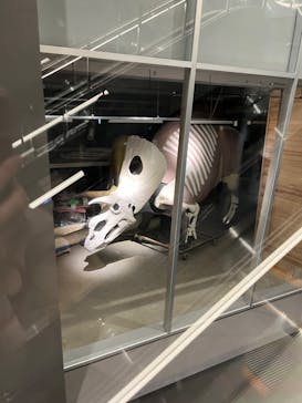 福井県立恐竜博物館に投稿された画像（2024/2/26）