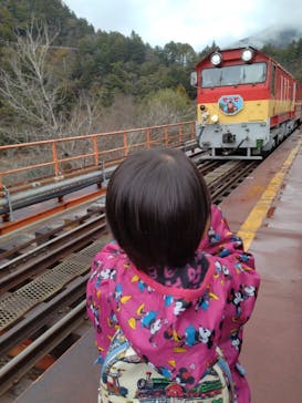 大井川鐵道株式会社に投稿された画像（2024/2/26）