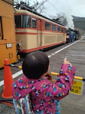 大井川鐵道株式会社に投稿された画像（2024/2/26）