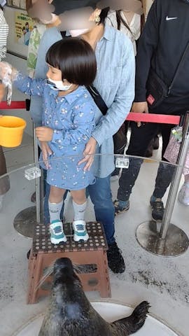 しながわ水族館の口コミ ｜☆アザラシ餌やり体験☆ 4歳児｜アソビュー！