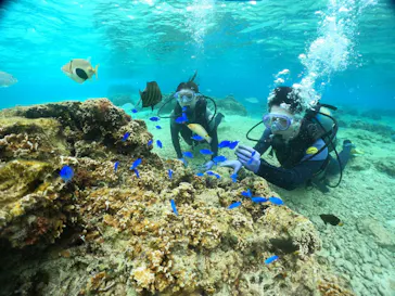 武藤潜水に投稿された画像（2024/2/27）