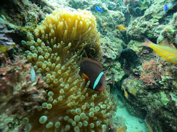 武藤潜水に投稿された画像（2024/2/27）