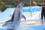 下田海中水族館に投稿された画像（2024/2/27）