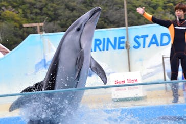 下田海中水族館に投稿された画像（2024/2/27）