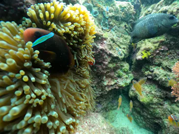 武藤潜水に投稿された画像（2024/2/27）