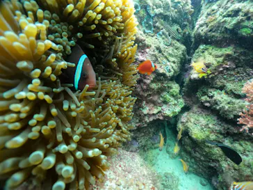 武藤潜水に投稿された画像（2024/2/27）