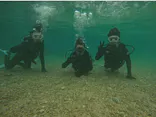 武藤潜水に投稿された画像（2024/2/27）