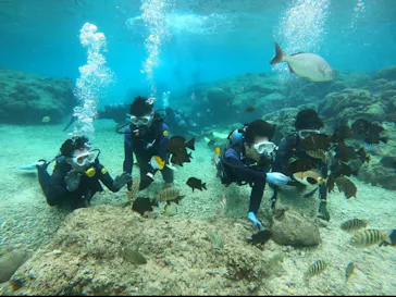 武藤潜水に投稿された画像（2024/2/27）