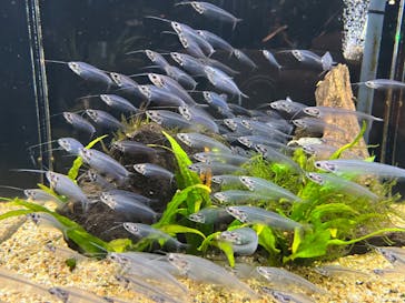 DMMかりゆし水族館に投稿された画像（2024/2/27）