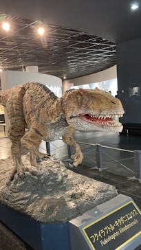 福井県立恐竜博物館に投稿された画像（2024/2/27）