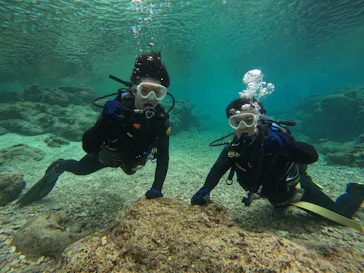 武藤潜水に投稿された画像（2024/2/27）