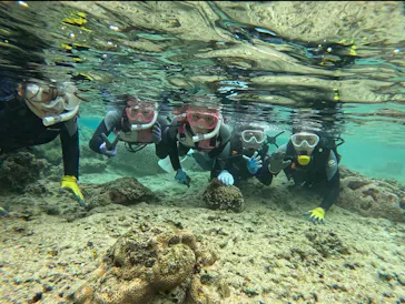 武藤潜水に投稿された画像（2024/2/27）