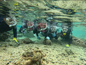 武藤潜水に投稿された画像（2024/2/27）