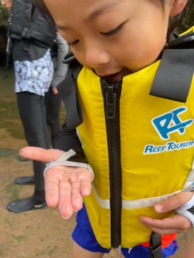 石垣島 ADVENTURE PiPi（イシガキジマアドベンチャーピピ）に投稿された画像（2024/2/27）