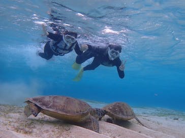 nico 宮古島に投稿された画像（2024/2/27）