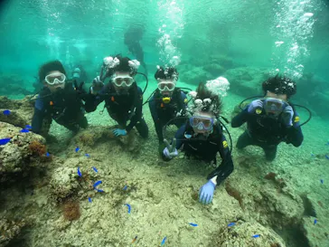 武藤潜水に投稿された画像（2024/2/27）