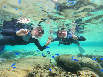 武藤潜水に投稿された画像（2024/2/27）