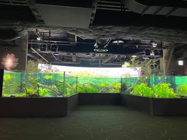 カワスイ 川崎⽔族館に投稿された画像（2024/2/27）