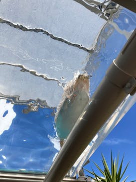 サンシャイン水族館に投稿された画像（2024/2/27）