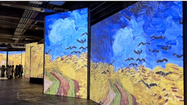 ゴッホ・アライブに投稿された画像（2024/2/27）