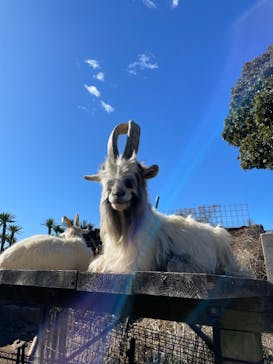 伊豆シャボテン動物公園に投稿された画像（2024/2/27）