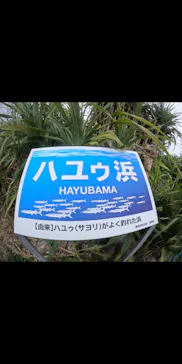 武藤潜水に投稿された画像（2024/2/27）