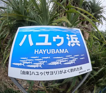 武藤潜水に投稿された画像（2024/2/27）