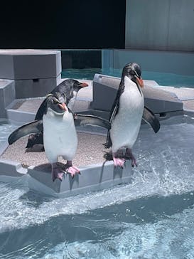 AOAO SAPPOROに投稿された画像（2024/2/27）