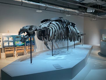 AOAO SAPPOROに投稿された画像（2024/2/27）