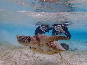 nico 宮古島に投稿された画像（2024/2/27）