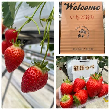 株式会社こまち野に投稿された画像（2024/2/27）