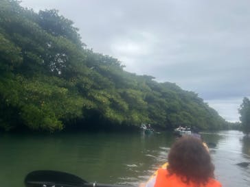 カヌー体験　らぐ～んに投稿された画像（2024/2/27）