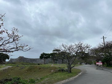 今帰仁城跡に投稿された画像（2024/2/27）