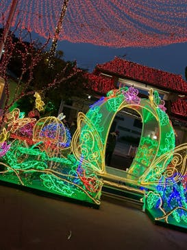 美らヤシパークオキナワ・東南植物楽園に投稿された画像（2024/2/27）