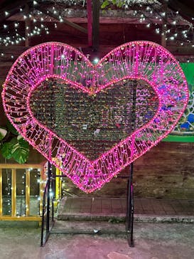 美らヤシパークオキナワ・東南植物楽園に投稿された画像（2024/2/27）