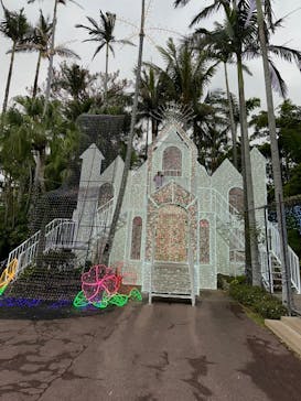 美らヤシパークオキナワ・東南植物楽園に投稿された画像（2024/2/27）