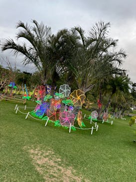 美らヤシパークオキナワ・東南植物楽園に投稿された画像（2024/2/27）