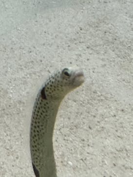 沖縄美ら海水族館に投稿された画像（2024/2/27）